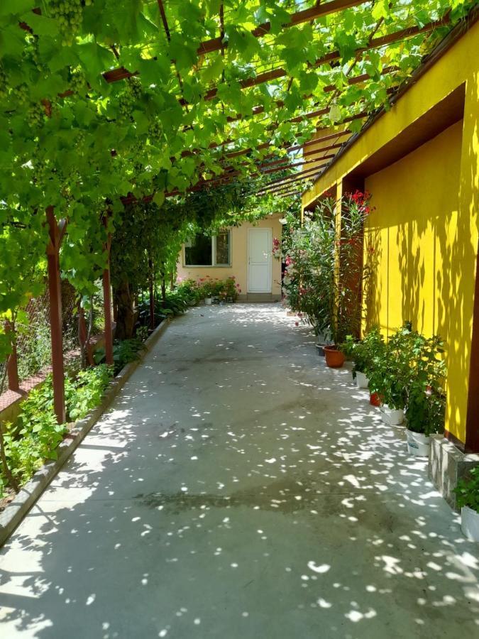 Pensiunea Lyo Două Mai Εξωτερικό φωτογραφία
